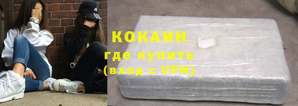 гашик Ветлуга