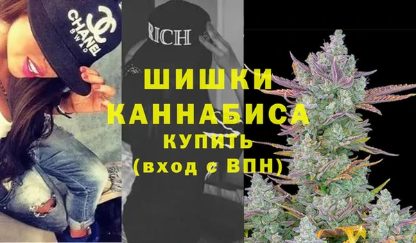ПСИЛОЦИБИНОВЫЕ ГРИБЫ Саяногорск
