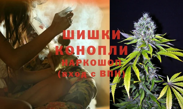 ПСИЛОЦИБИНОВЫЕ ГРИБЫ Саяногорск