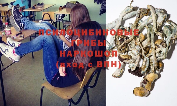 трава Сатка