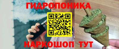 прущие крисы Кимры