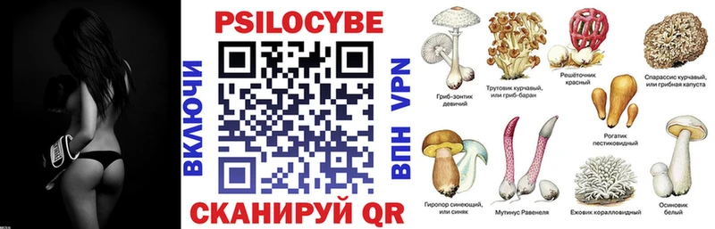 blacksprut зеркало  Костомукша  Псилоцибиновые грибы мухоморы 